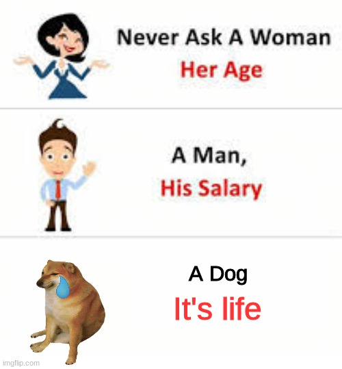 A dog it's life |  A Dog; It's life | image tagged in never ask a woman her age | made w/ Imgflip meme maker