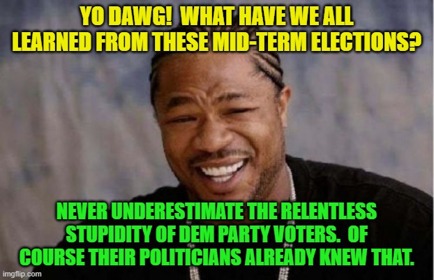 The solution?  When the entire nation is dumpster diving for food, maybe THAT will wake 'em up. | YO DAWG!  WHAT HAVE WE ALL LEARNED FROM THESE MID-TERM ELECTIONS? NEVER UNDERESTIMATE THE RELENTLESS STUPIDITY OF DEM PARTY VOTERS.  OF COURSE THEIR POLITICIANS ALREADY KNEW THAT. | image tagged in yo dawg heard you | made w/ Imgflip meme maker