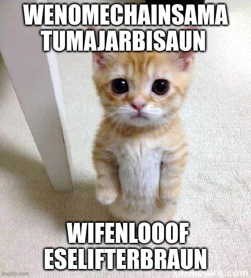 Repost cuz yea. | WENOMECHAINSAMA TUMAJARBISAUN; WIFENLOOOF ESELIFTERBRAUN | image tagged in memes,cute cat,wenomechainsama,tumajarbisaun,wifenlooof,eselifterbraun | made w/ Imgflip meme maker