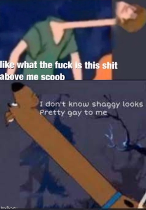 fr fr ong!? | image tagged in like what the f ck is this sh t above me scoob,i don t know shaggy looks pretty gay to me | made w/ Imgflip meme maker
