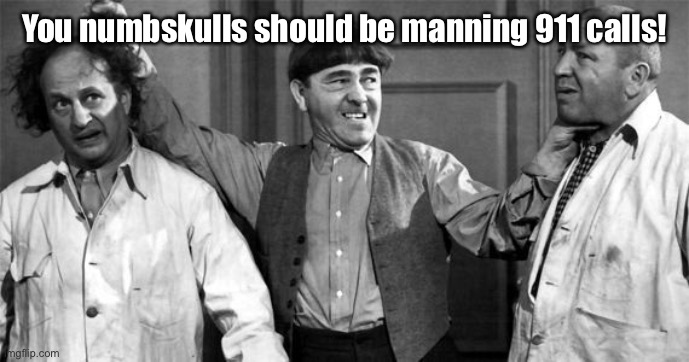 Three Stooges | You numbskulls should be manning 911 calls! | image tagged in three stooges | made w/ Imgflip meme maker
