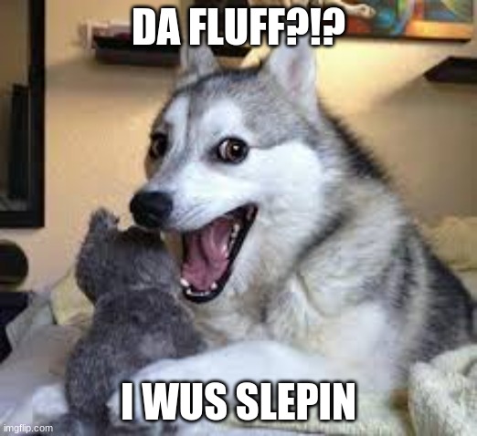 Smiling dog | DA FLUFF?!? I WUS SLEPIN | image tagged in smiling dog | made w/ Imgflip meme maker