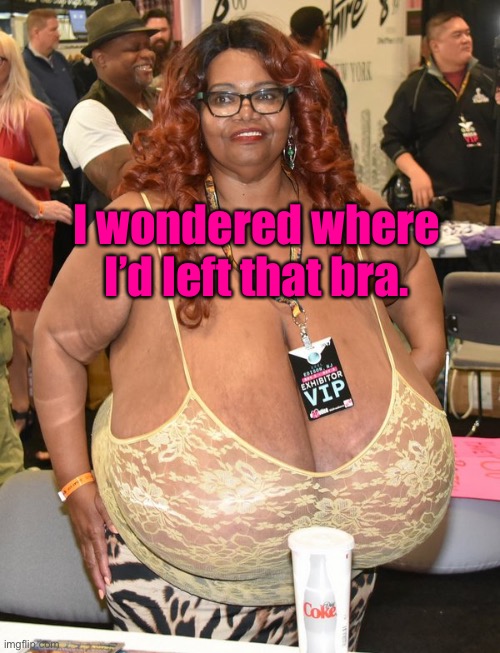 I wondered where I’d left that bra. | made w/ Imgflip meme maker