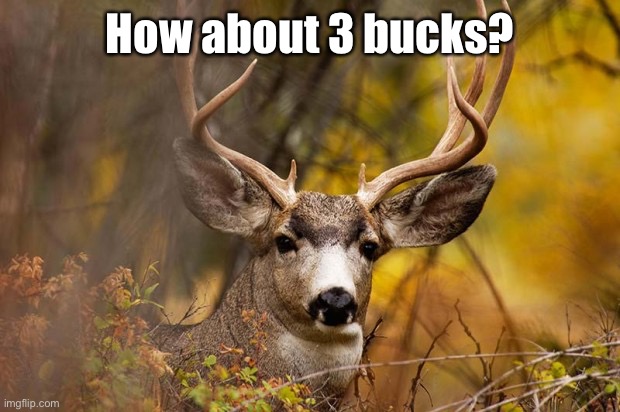 deer meme | How about 3 bucks? | image tagged in deer meme | made w/ Imgflip meme maker