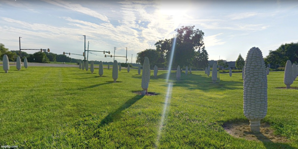 Corn Field in Ohio | image tagged in ohio,google earth | made w/ Imgflip meme maker