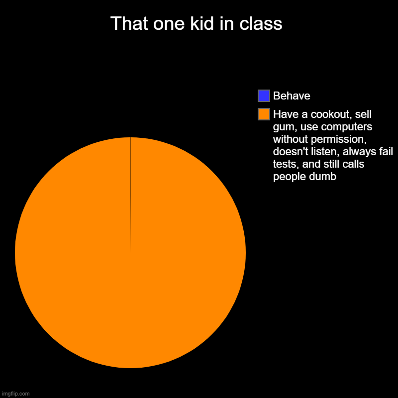 fr | That one kid in class | Have a cookout, sell gum, use computers without permission, doesn't listen, always fail tests, and still calls peopl | image tagged in charts,pie charts | made w/ Imgflip chart maker