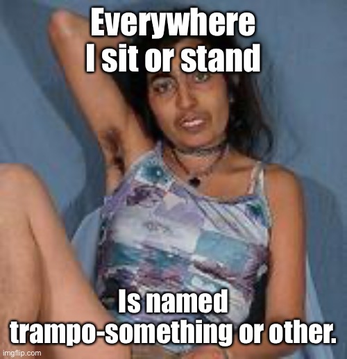 Ugly woman 2 | Everywhere I sit or stand Is named trampo-something or other. | image tagged in ugly woman 2 | made w/ Imgflip meme maker