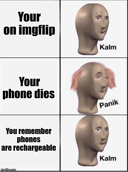 Me everyday | Your on imgflip; Your phone dies; You remember phones are rechargeable | image tagged in reverse kalm panik | made w/ Imgflip meme maker