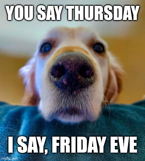 Thursday Dog Meme | YOU SAY THURSDAY; I SAY, FRIDAY EVE | image tagged in close up dog,memes,dogs | made w/ Imgflip meme maker