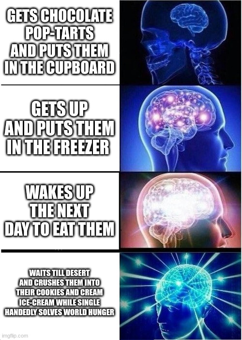 Expanding Brain Meme | GETS CHOCOLATE POP-TARTS AND PUTS THEM IN THE CUPBOARD; GETS UP AND PUTS THEM IN THE FREEZER; WAKES UP THE NEXT DAY TO EAT THEM; WAITS TILL DESERT AND CRUSHES THEM INTO THEIR COOKIES AND CREAM ICE-CREAM WHILE SINGLE HANDEDLY SOLVES WORLD HUNGER | image tagged in memes,expanding brain | made w/ Imgflip meme maker