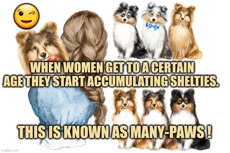 Shelties Many Paws | 😉; WHEN WOMEN GET TO A CERTAIN AGE THEY START ACCUMULATING SHELTIES. THIS IS KNOWN AS MANY-PAWS ! | image tagged in shelties,menopause | made w/ Imgflip meme maker