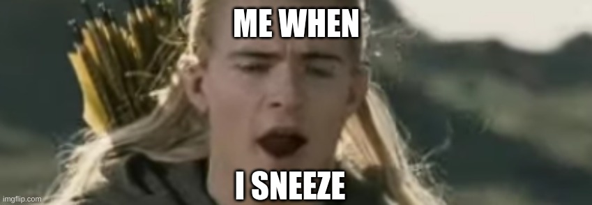 Legolas Sneeze | ME WHEN; I SNEEZE | image tagged in legolas,sneeze,sneezing | made w/ Imgflip meme maker