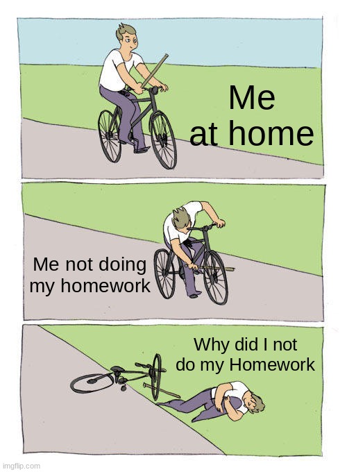 Fax | Me at home; Me not doing my homework; Why did I not do my Homework | image tagged in memes,bike fall,school | made w/ Imgflip meme maker