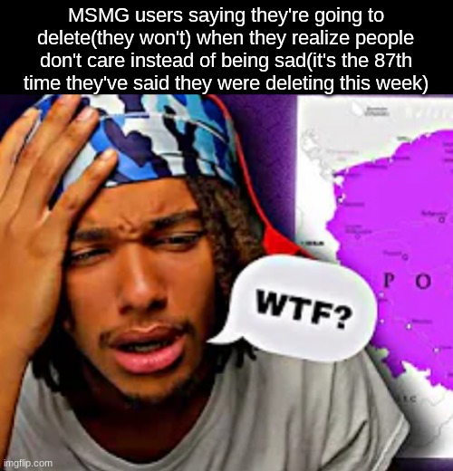 MSMG users saying they're going to delete(they won't) when they realize people don't care instead of being sad(it's the 87th time they've said they were deleting this week) | image tagged in wtf | made w/ Imgflip meme maker