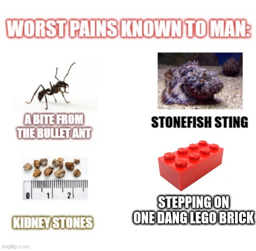 It's more painful than burning alive | STEPPING ON ONE DANG LEGO BRICK | image tagged in most painful things known to man | made w/ Imgflip meme maker