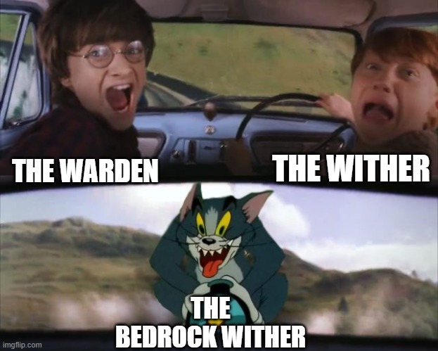Tom chasing Harry and Ron Weasly | THE WARDEN THE WITHER THE BEDROCK WITHER | image tagged in tom chasing harry and ron weasly | made w/ Imgflip meme maker