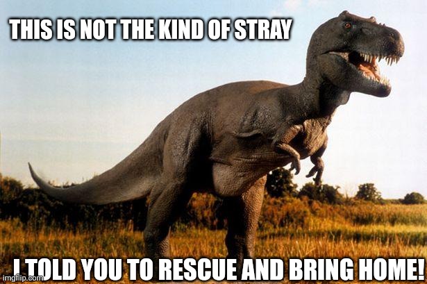 dinosaur | THIS IS NOT THE KIND OF STRAY; I TOLD YOU TO RESCUE AND BRING HOME! | image tagged in dinosaur | made w/ Imgflip meme maker