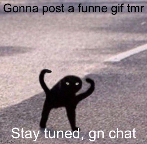 Cursed cat temp | Gonna post a funne gif tmr; Stay tuned, gn chat | image tagged in cursed cat temp | made w/ Imgflip meme maker