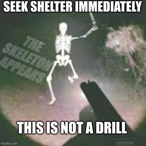 THE SKELETON APPEARED, TAKE SHELTER | SEEK SHELTER IMMEDIATELY; THE SKELETON APPEARS; THIS IS NOT A DRILL | image tagged in skeleton shotgun,skeleton | made w/ Imgflip meme maker