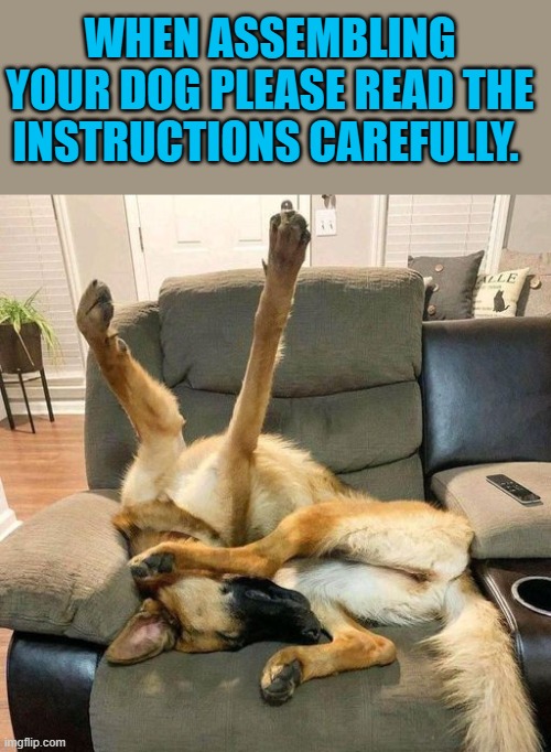Read the instructions | WHEN ASSEMBLING YOUR DOG PLEASE READ THE INSTRUCTIONS CAREFULLY. | image tagged in instructions,dogs,kewlew | made w/ Imgflip meme maker