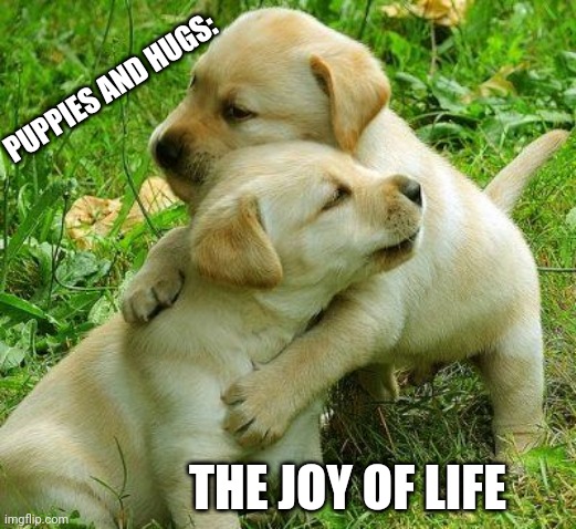 Puppy I love bro | PUPPIES AND HUGS:; THE JOY OF LIFE | image tagged in puppy i love bro | made w/ Imgflip meme maker