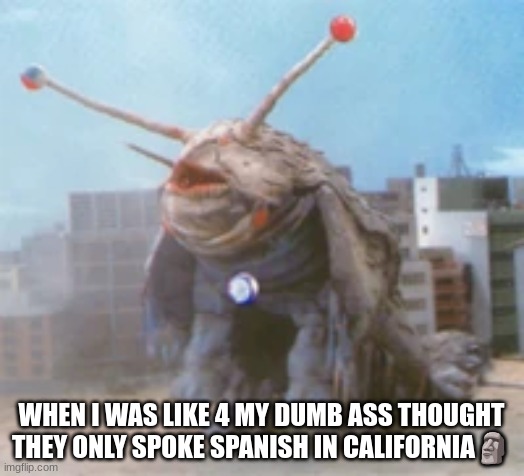 jirenma beloved | WHEN I WAS LIKE 4 MY DUMB ASS THOUGHT THEY ONLY SPOKE SPANISH IN CALIFORNIA🗿 | image tagged in jirenma beloved | made w/ Imgflip meme maker