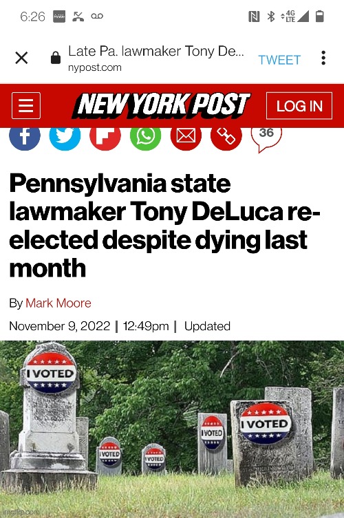 Dead Vote | image tagged in dead,voting,election fraud | made w/ Imgflip meme maker