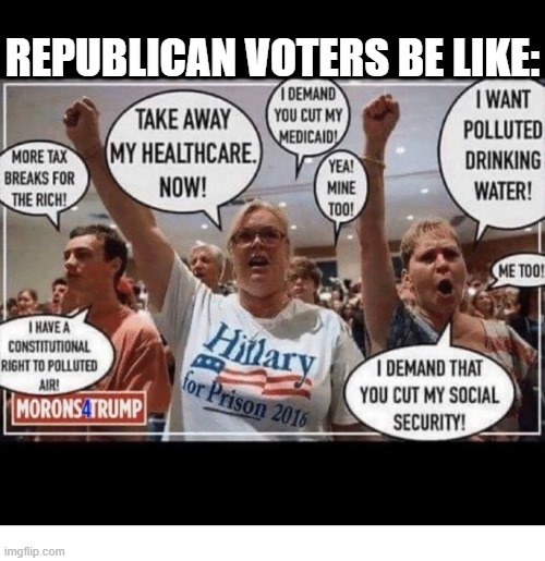 REPUBLICAN VOTERS BE LIKE: | image tagged in republicans,stupid people,conservatives | made w/ Imgflip meme maker