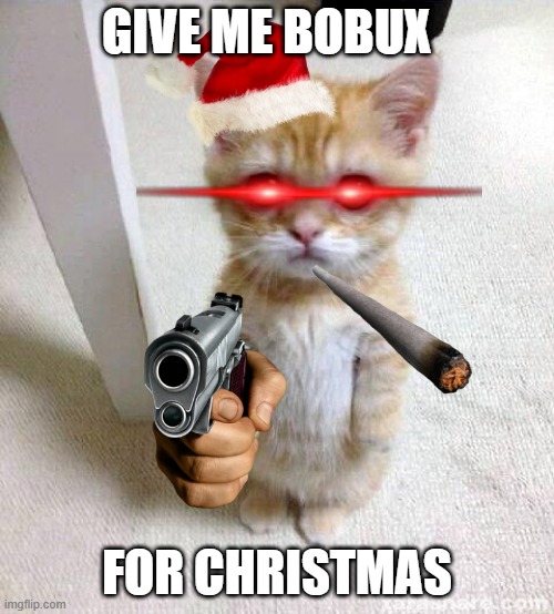 SHUT | GIVE ME BOBUX; FOR CHRISTMAS | image tagged in memes,cute cat | made w/ Imgflip meme maker