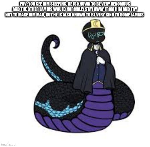 Don't kill him- You can hurt him of you need to just don't hurt him to much. | POV: YOU SEE HIM SLEEPING, HE IS KNOWN TO BE VERY VENOMOUS AND THE OTHER LAMIAS WOULD NORMALLY STAY AWAY FROM HIM AND TRY NOT TO MAKE HIM MAD, BUT HE IS ALSO KNOWN TO BE VERY KIND TO SOME LAMIAS | made w/ Imgflip meme maker