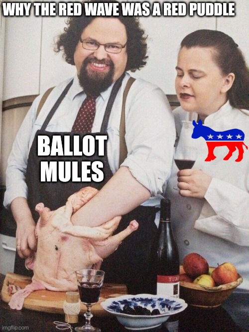 Red Puddle Stuffing |  WHY THE RED WAVE WAS A RED PUDDLE; BALLOT MULES | image tagged in chef stuffing turkey,2022,election fraud,corruption,politicians suck | made w/ Imgflip meme maker