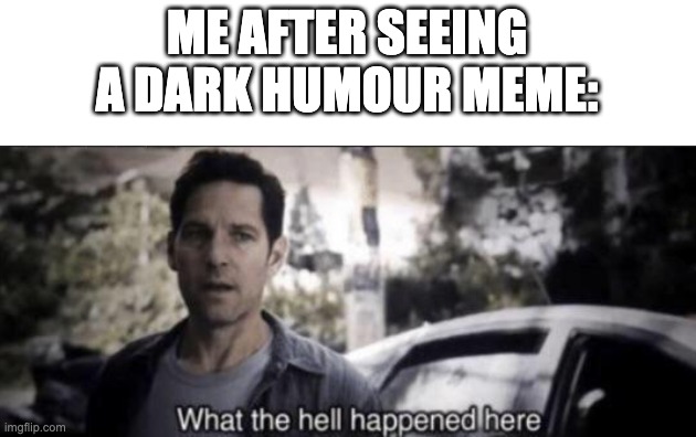 Okay but fr tho |  ME AFTER SEEING A DARK HUMOUR MEME: | image tagged in what the hell happened here | made w/ Imgflip meme maker