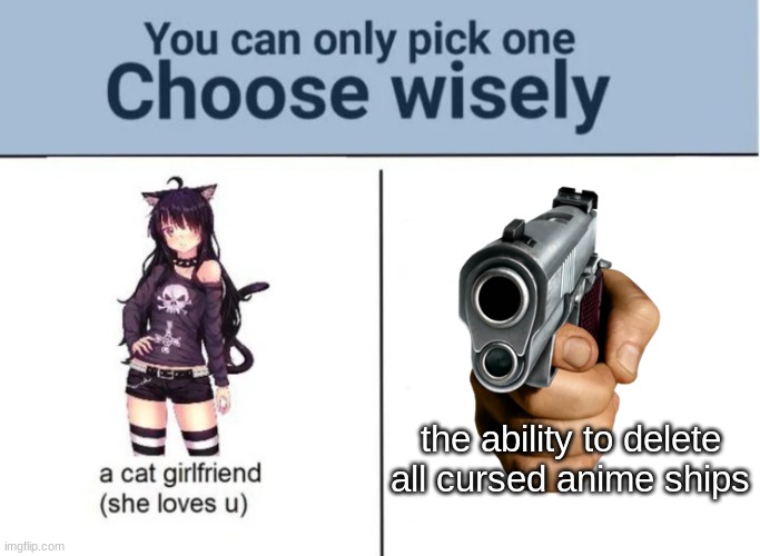 Choose wisely |  the ability to delete all cursed anime ships | image tagged in choose wisely | made w/ Imgflip meme maker