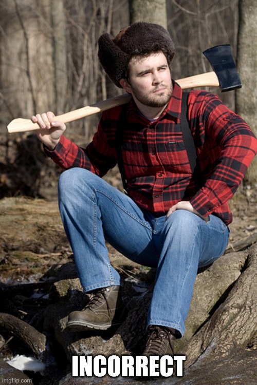 Solemn Lumberjack Meme | INCORRECT | image tagged in memes,solemn lumberjack | made w/ Imgflip meme maker