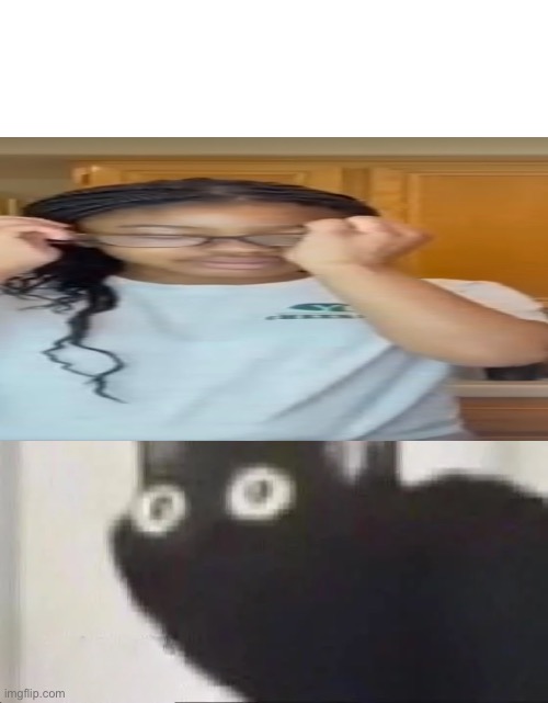 Oh No | image tagged in oh no black cat | made w/ Imgflip meme maker