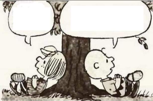 High Quality Charlie Brown and Peppermint Patty Blank Meme Template