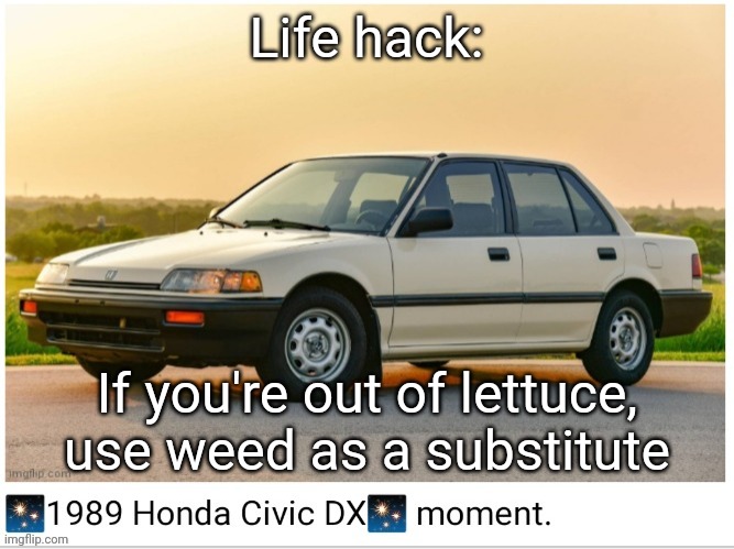 I am not responsible if your food suddenly tastes REALLY good during the 2nd bite | Life hack:; If you're out of lettuce, use weed as a substitute | image tagged in 1989 honda civic dx moment | made w/ Imgflip meme maker