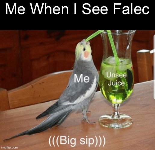 Unsee juice | Me When I See Falec | image tagged in unsee juice | made w/ Imgflip meme maker