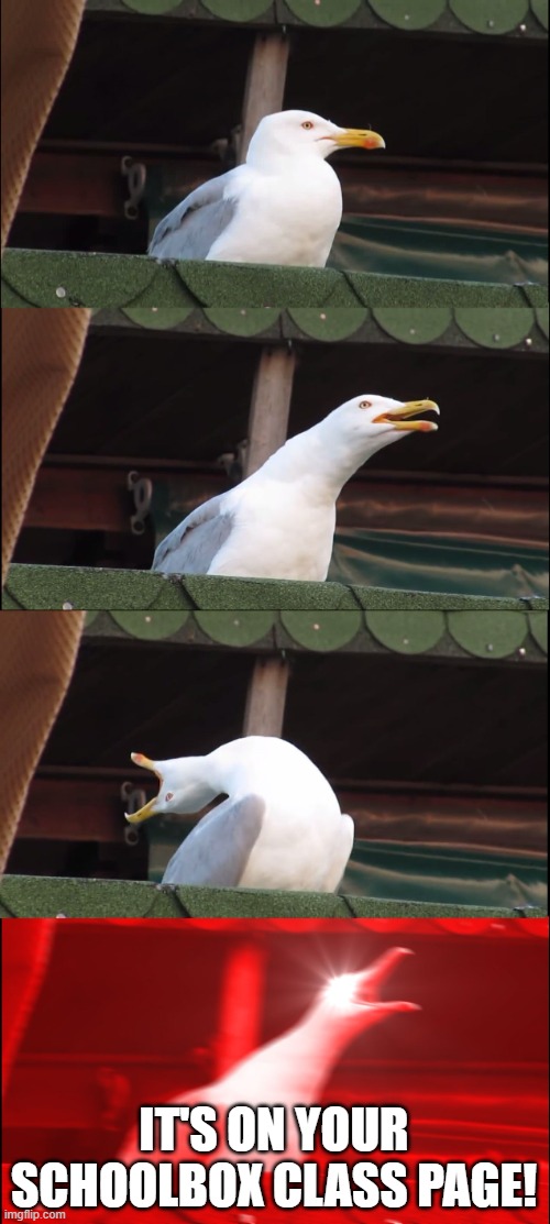Schoolbox | IT'S ON YOUR SCHOOLBOX CLASS PAGE! | image tagged in memes,inhaling seagull | made w/ Imgflip meme maker