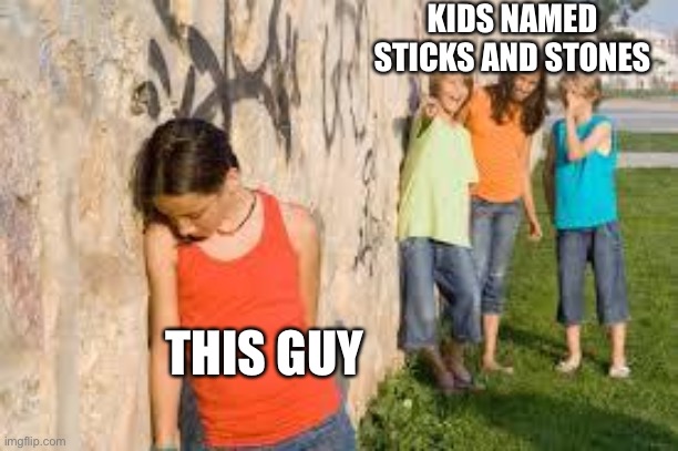 bullying | KIDS NAMED STICKS AND STONES THIS GUY | image tagged in bullying | made w/ Imgflip meme maker