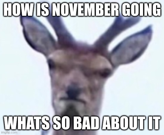 whats so hard about November now huh | HOW IS NOVEMBER GOING; WHATS SO BAD ABOUT IT | image tagged in judgment deer | made w/ Imgflip meme maker