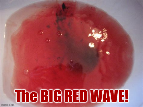 Rovember 8th was.... | The BIG RED WAVE! | made w/ Imgflip meme maker