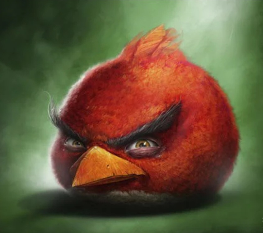 Angry bird Blank Meme Template