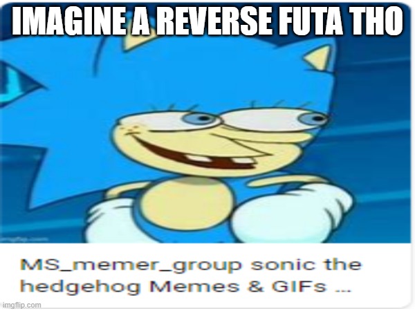 IMAGINE A REVERSE FUTA THO | made w/ Imgflip meme maker