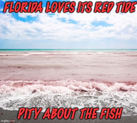 FLORIDA LOVES ITS RED TIDE PITY ABOUT THE FISH | made w/ Imgflip meme maker