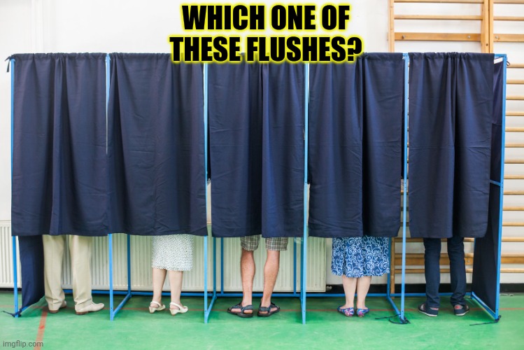 Vote early. Vote often! | WHICH ONE OF THESE FLUSHES? | image tagged in voting booth,but why why would you do that | made w/ Imgflip meme maker