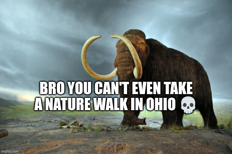 Why am I in Ohio | BRO YOU CAN'T EVEN TAKE A NATURE WALK IN OHIO 💀 | image tagged in wooly mammoth | made w/ Imgflip meme maker