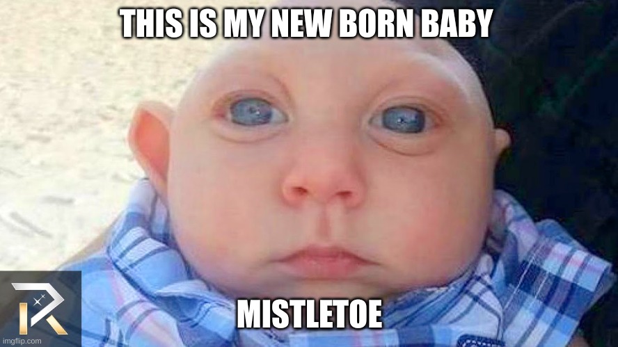 please wish him well because he's going to be the next hokage | THIS IS MY NEW BORN BABY; MISTLETOE | image tagged in baby,mistletoe,hokage | made w/ Imgflip meme maker