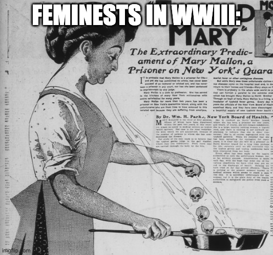 feminsit | FEMINESTS IN WWIII: | image tagged in typhoid mary,historical meme | made w/ Imgflip meme maker
