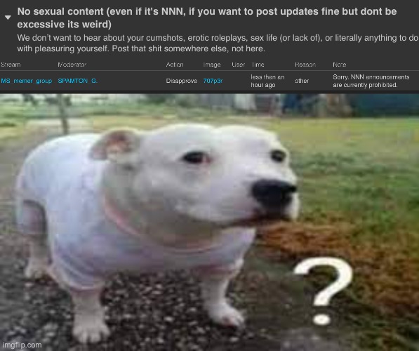 Updates are allowed | image tagged in question mark dog | made w/ Imgflip meme maker